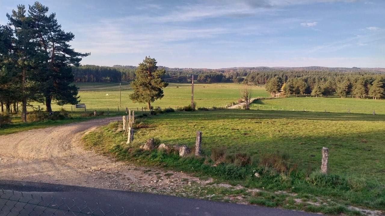 Photo of Others in Peyre-en-Aubrac