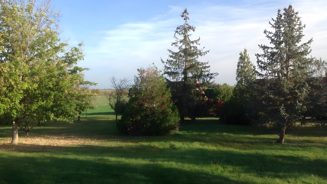 Photo of Outdoor in Saulcet