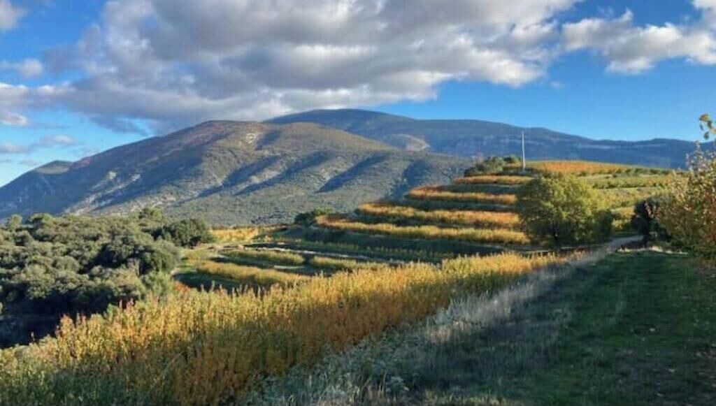 Photo of Others in Beaumont-du-Ventoux