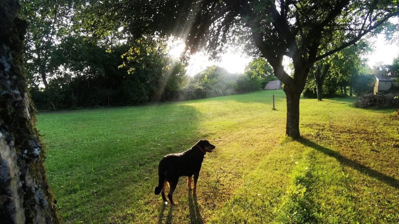 Photo of Outdoor in Gray-la-Ville