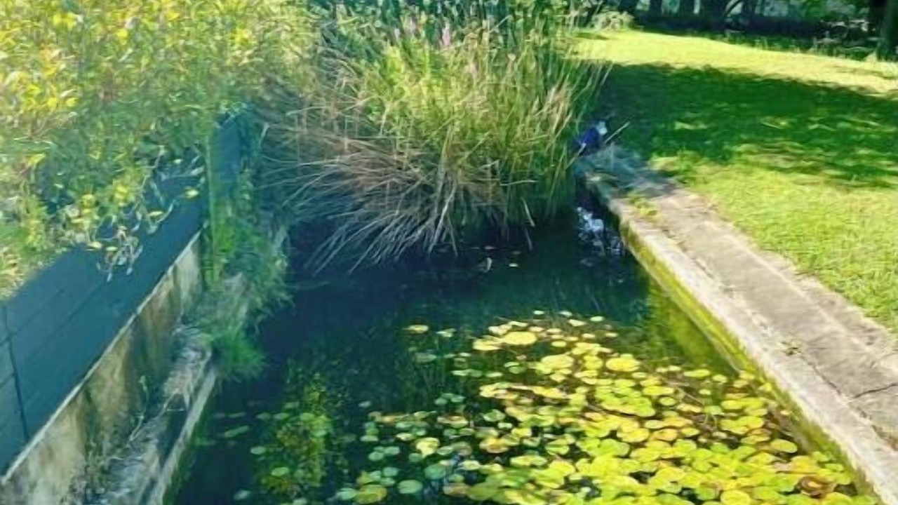 Photo of Outdoor in Loriol-sur-Drome