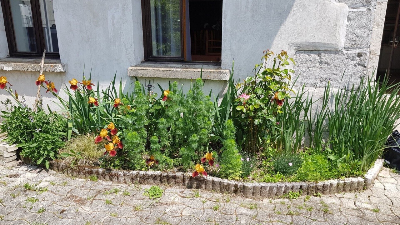 Photo of Outdoor in Bonlieu