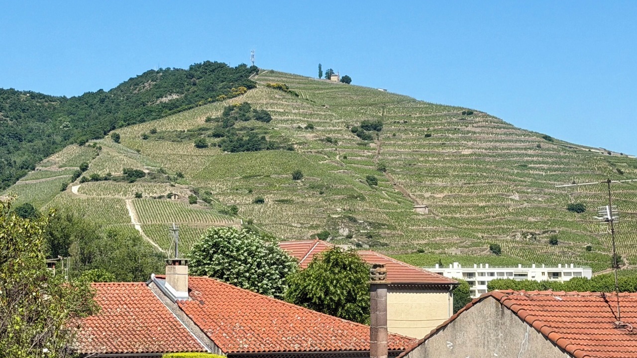 Photo of Others in Tournon-sur-Rhone
