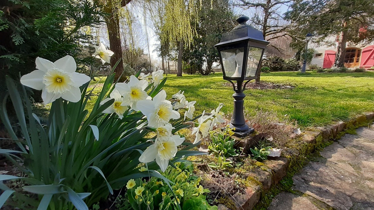 Photo of Outdoor in Igornay