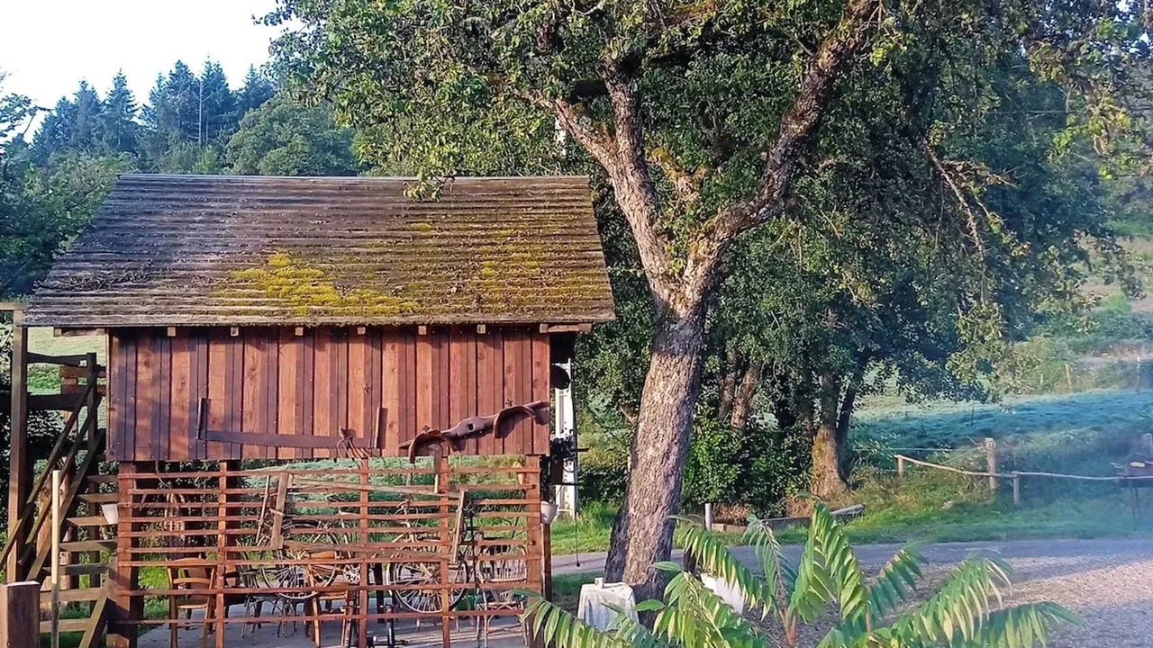 Photo of Outdoor in Cussy-en-Morvan
