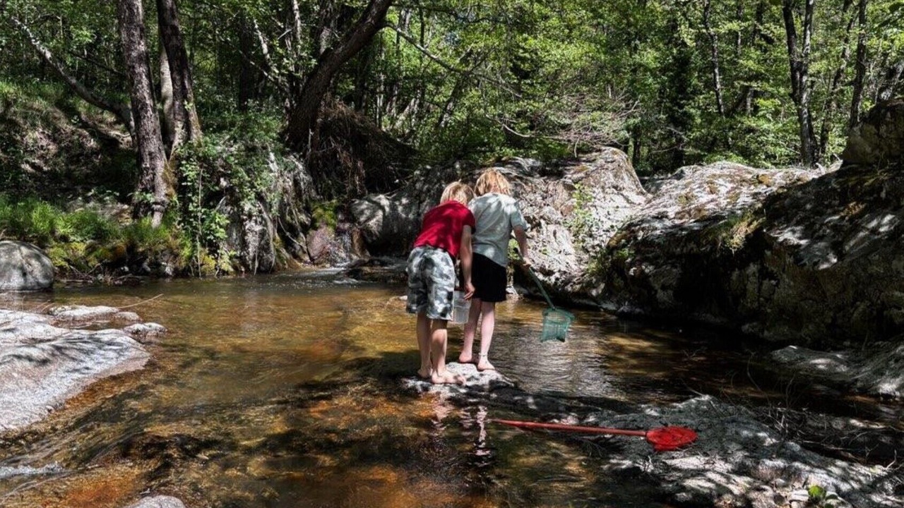 Photo of Others in Chazeaux