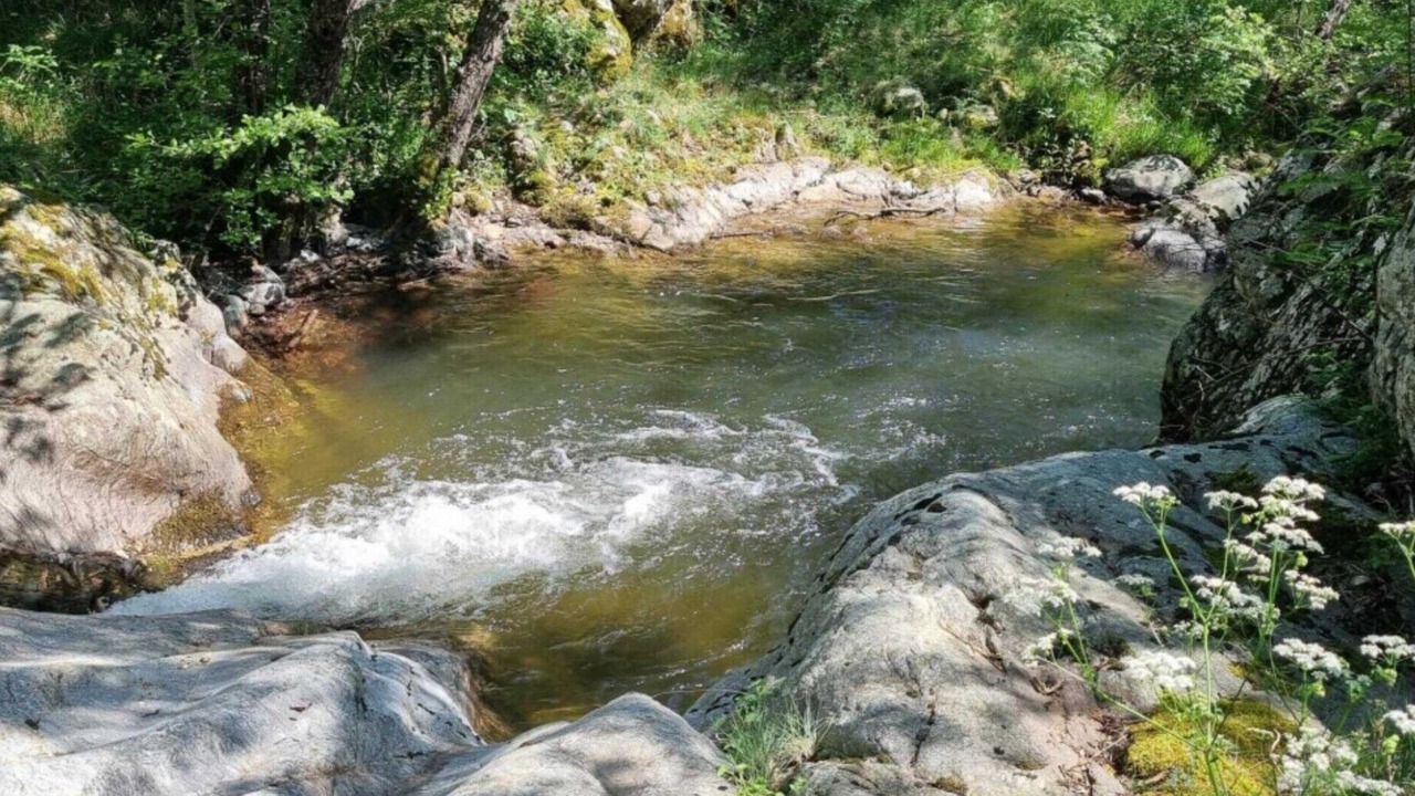 Photo of Others in Chazeaux