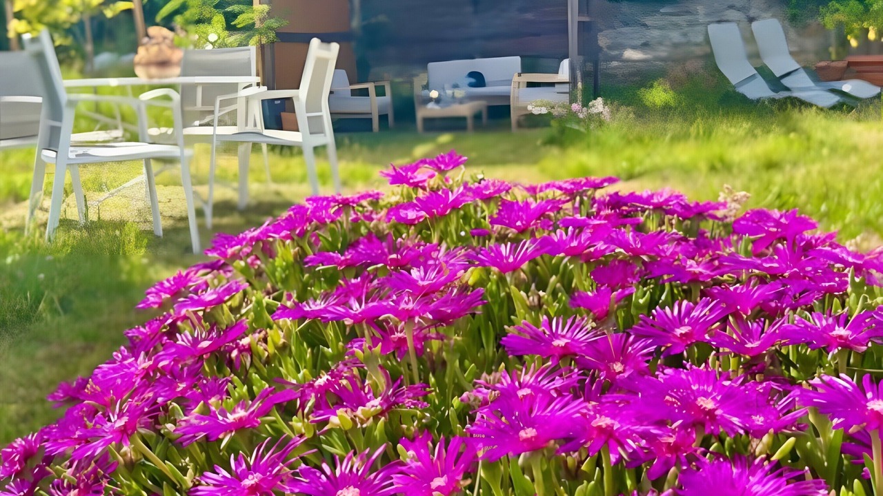 Photo of Outdoor in Chazeaux
