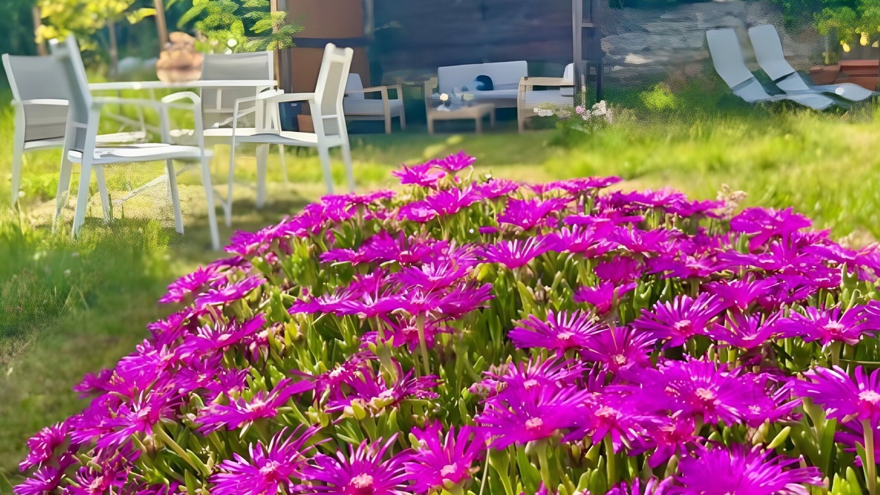 Photo of Outdoor in Chazeaux
