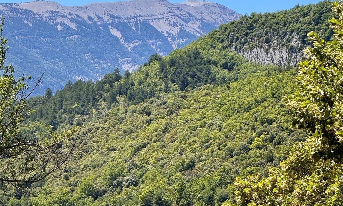 Photo of Others in Montbrun-les-Bains