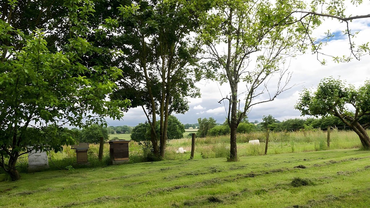 Photo of Outdoor in Saint-Pourcain-sur-Besbre