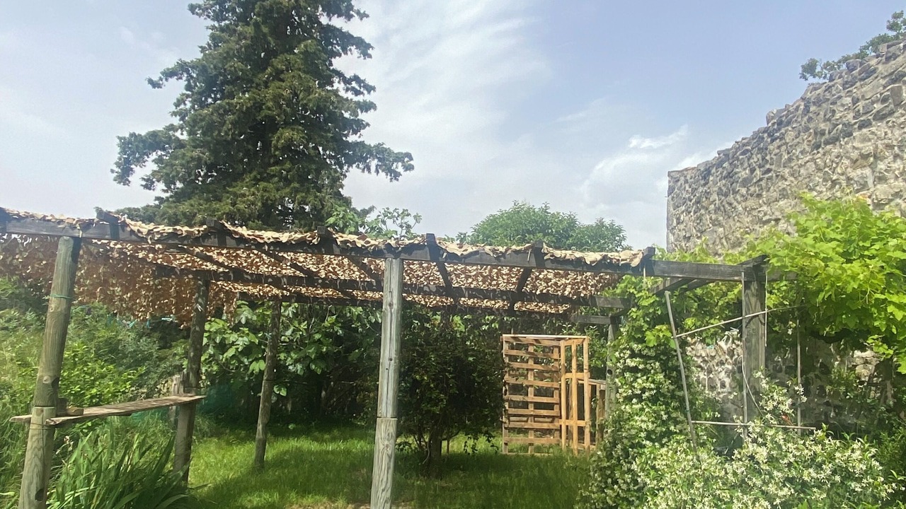 Photo of Outdoor in Lussas