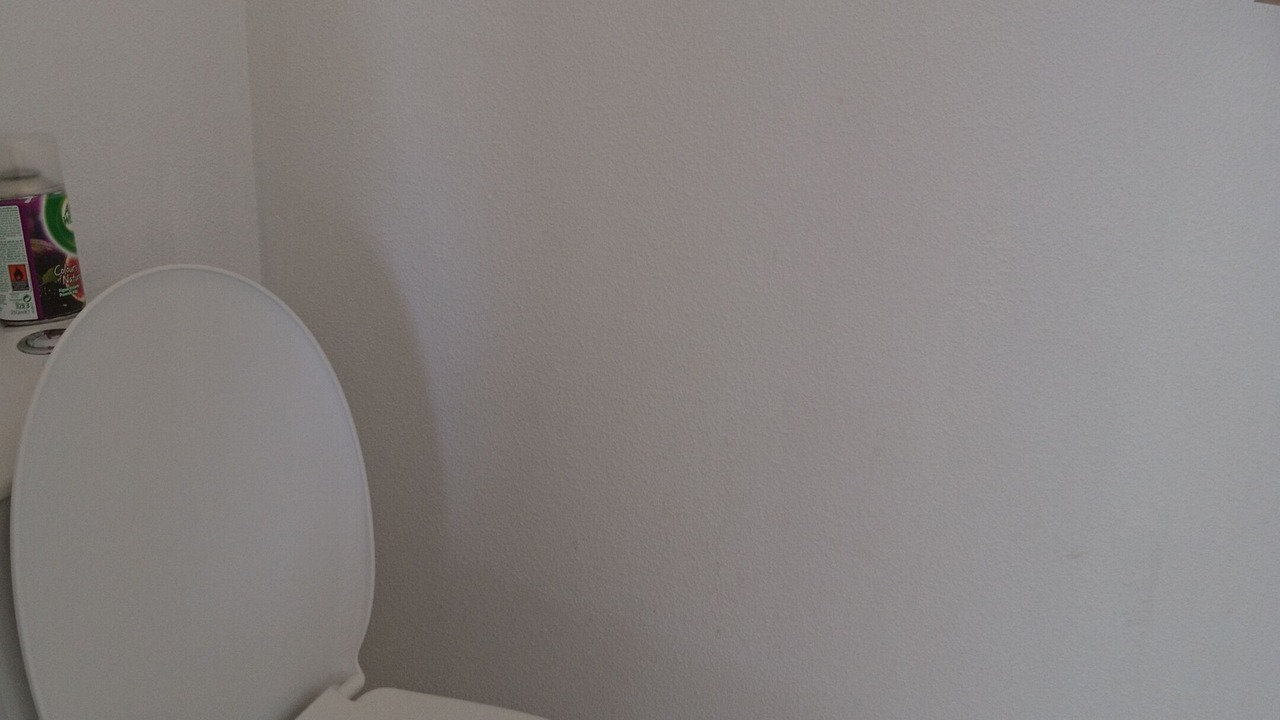 Photo of Bathroom in Saint-Geniez-d'Olt