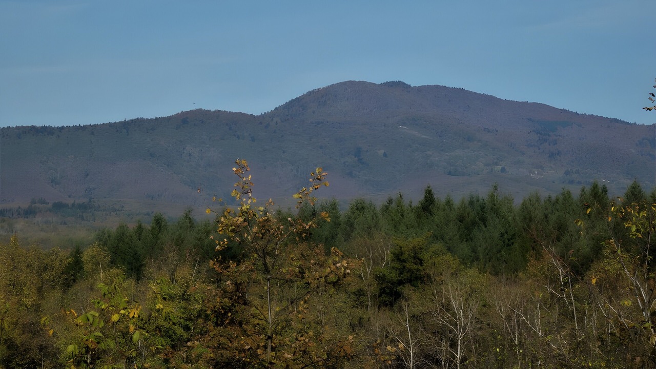 Photo of Others in Champagney