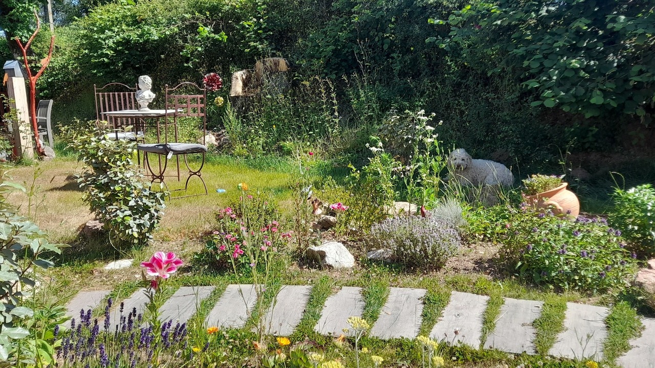 Photo of Outdoor in Saint-Bonnet-de-Joux