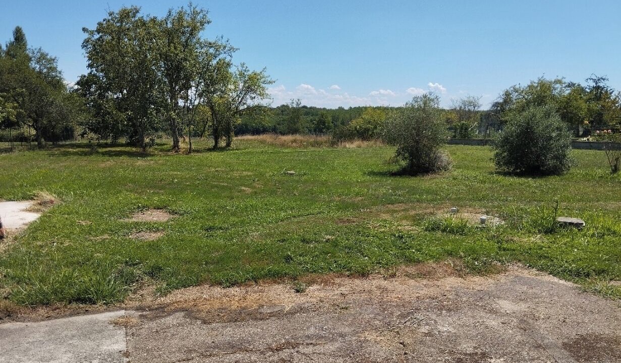 Photo of Outdoor in Commenailles