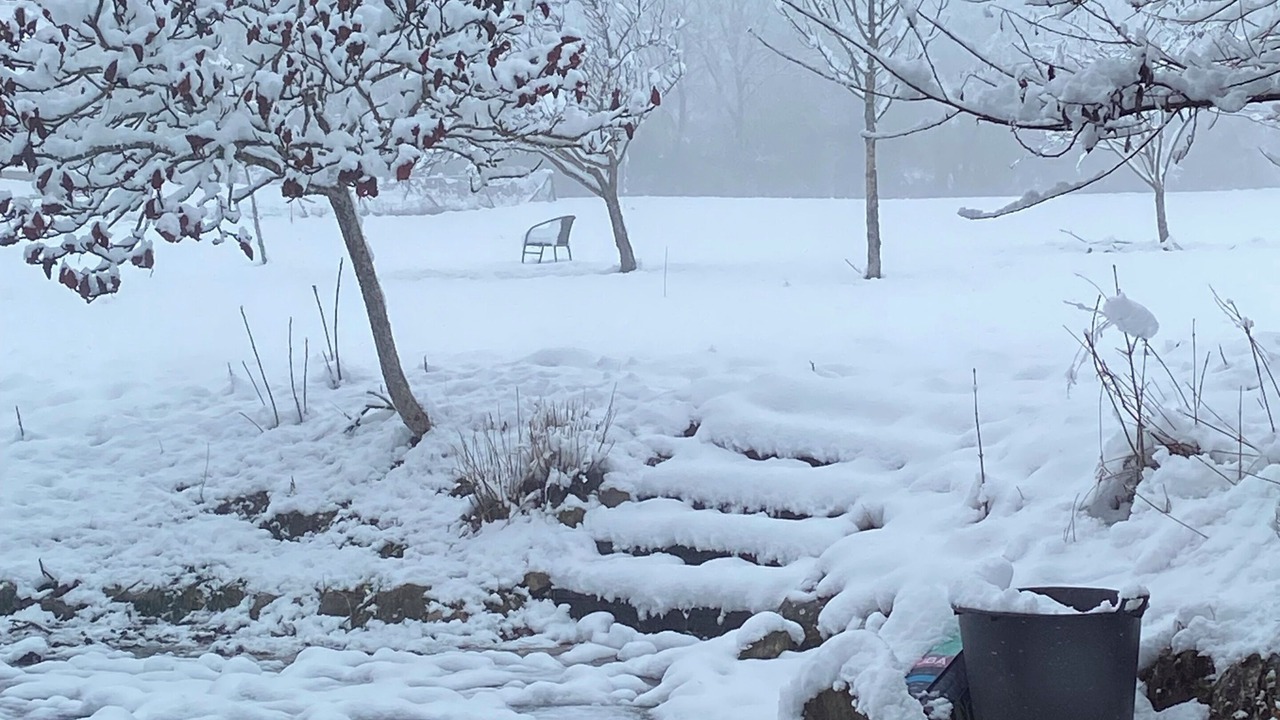 Photo of Others in Innimond