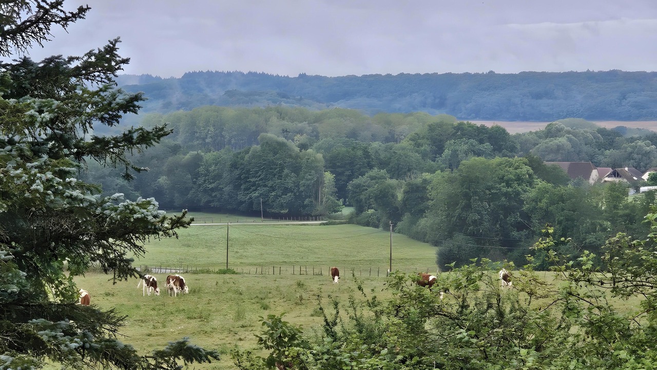 Photo of Others in Darbonnay