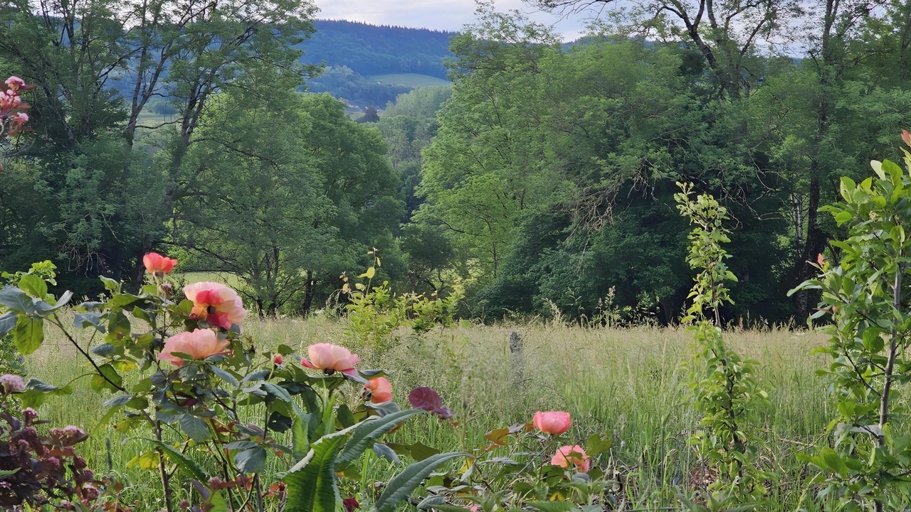 Photo of Outdoor in Darbonnay