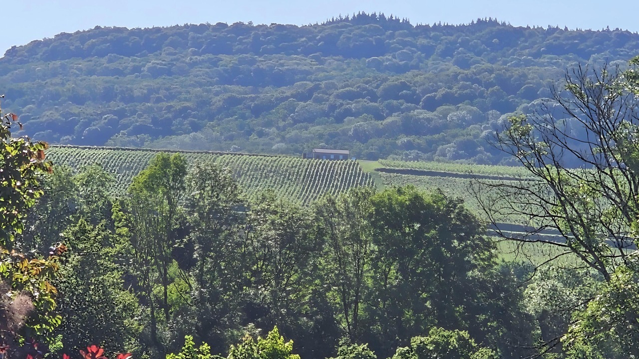 Photo of Others in Darbonnay