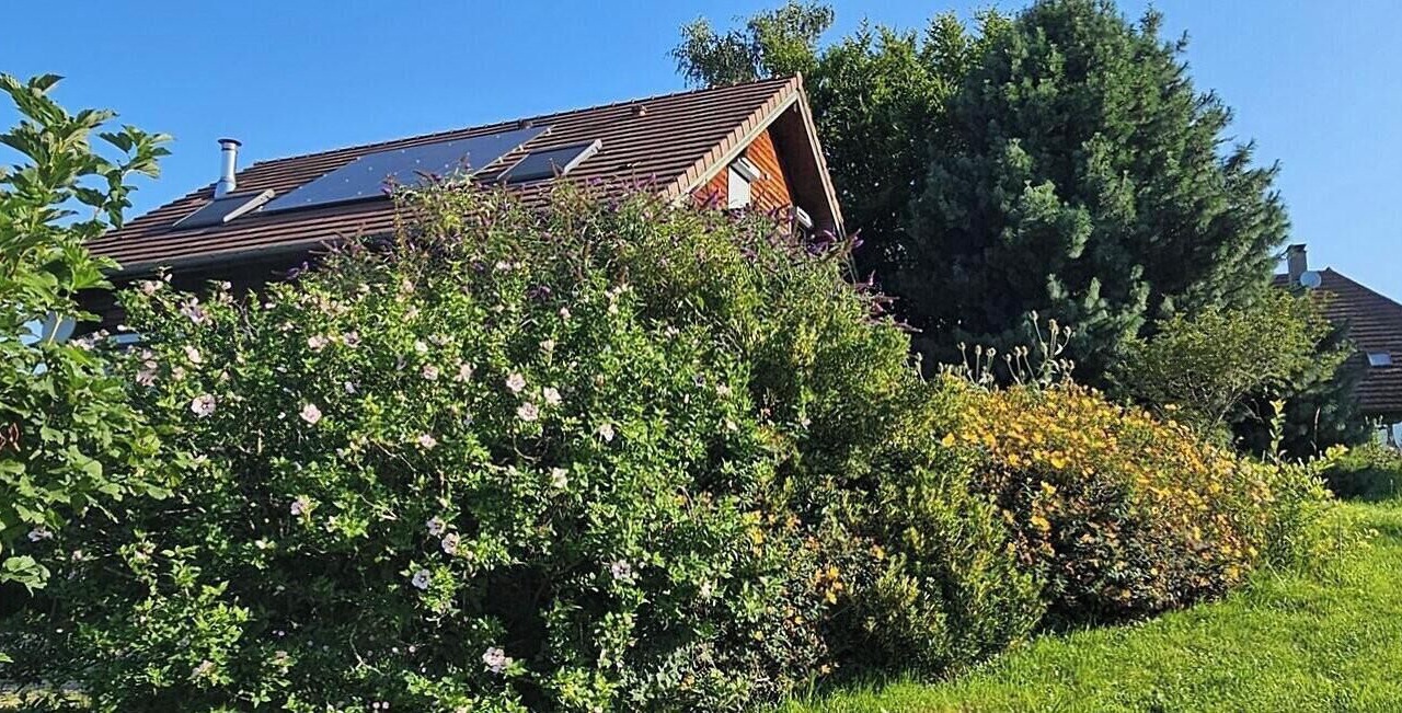 Photo of Outdoor in Darbonnay