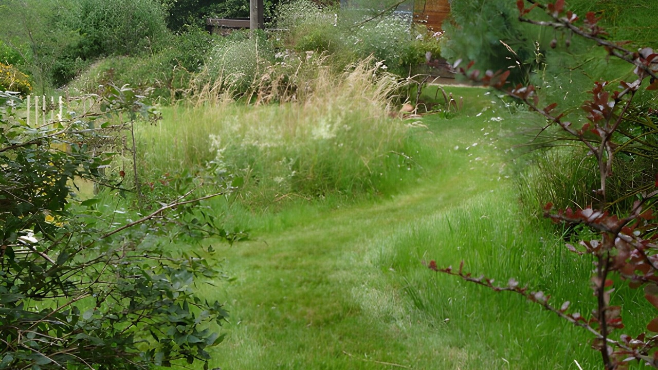 Photo of Outdoor in Darbonnay