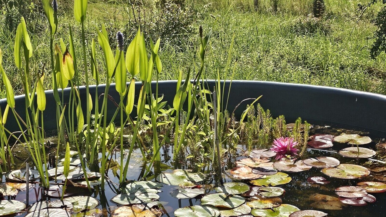 Photo of Outdoor in Darbonnay