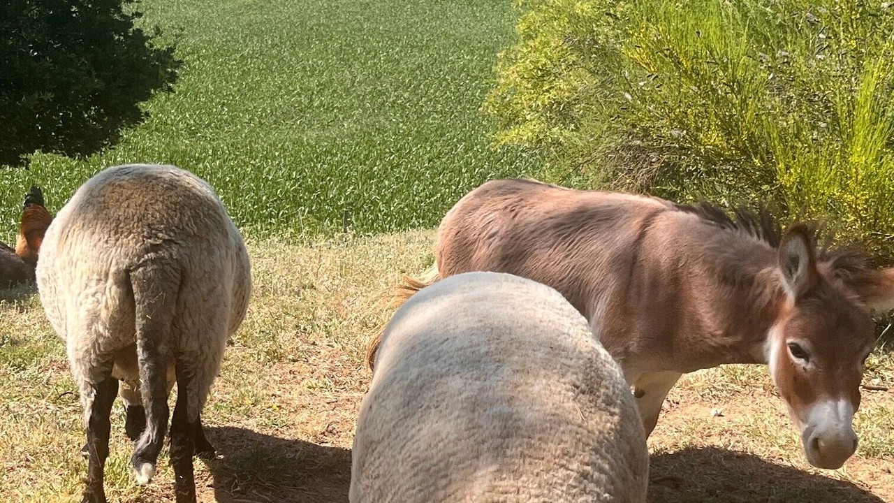 Photo of Others in Murinais