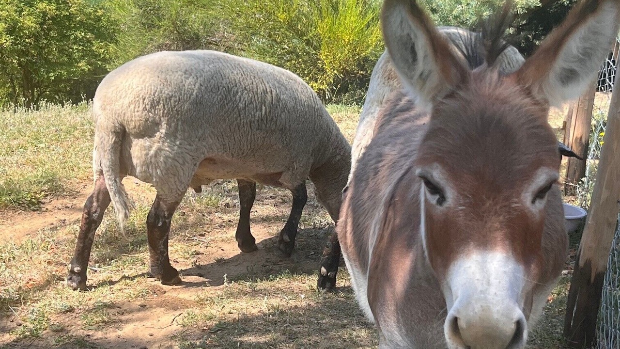 Photo of Others in Murinais