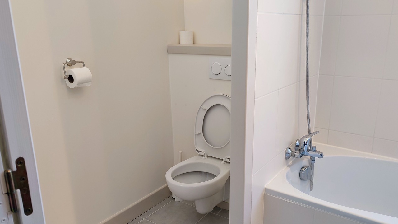 Photo of Bathroom in Tannay