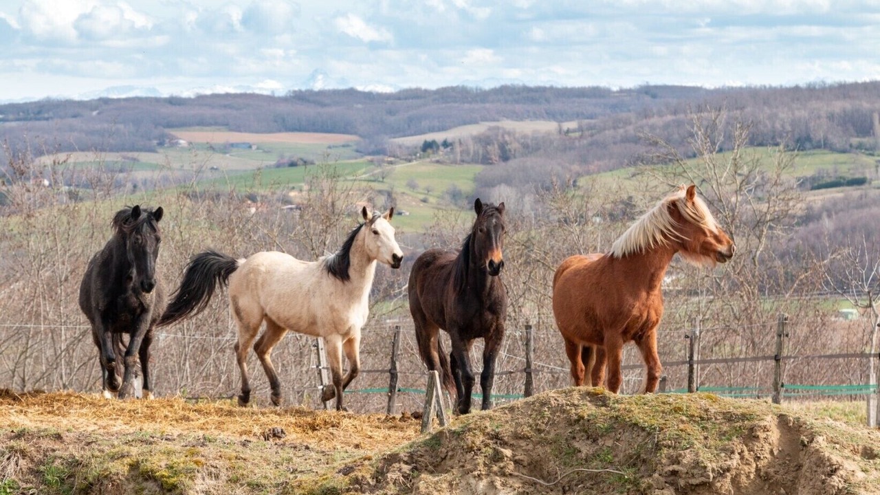 Photo of Others in Hauterives