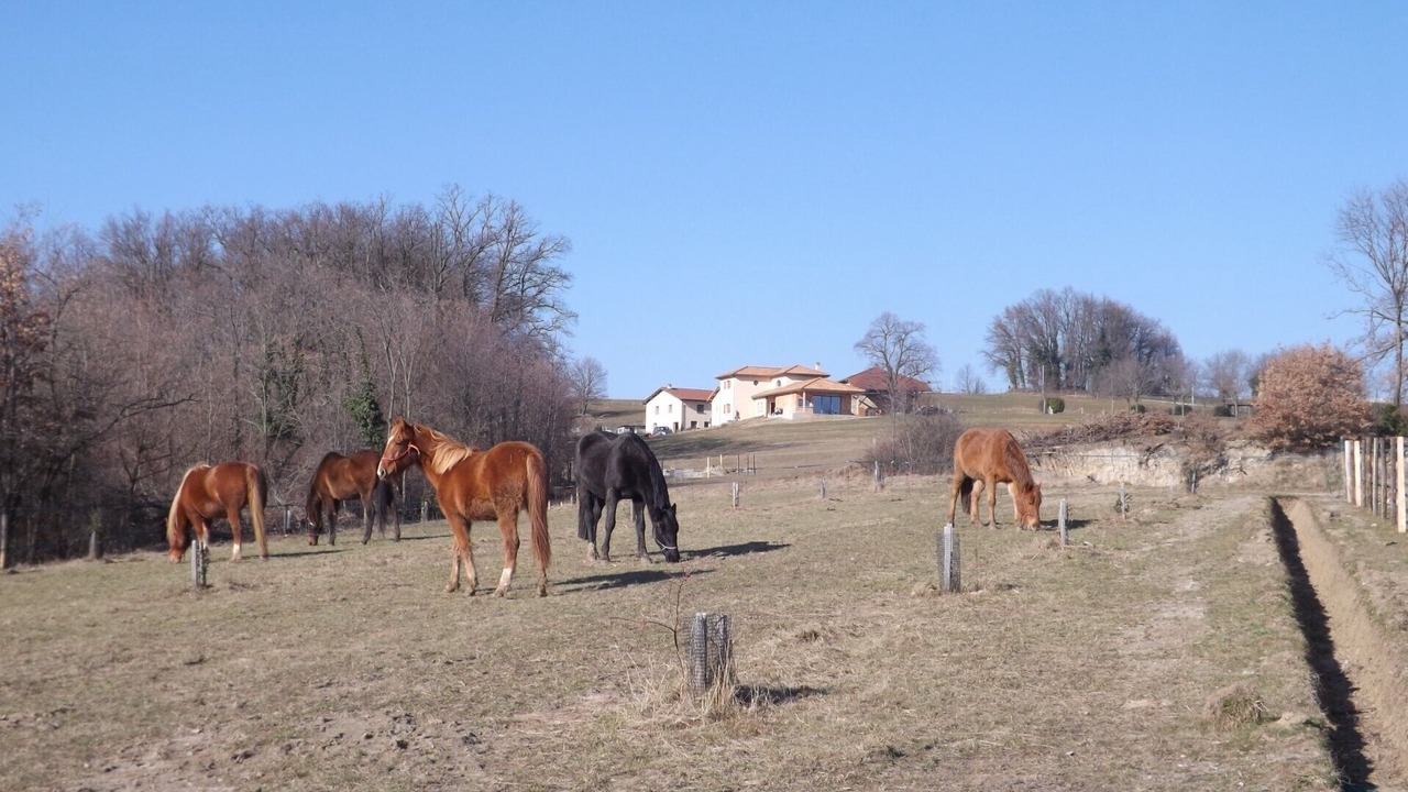 Photo of Others in Hauterives