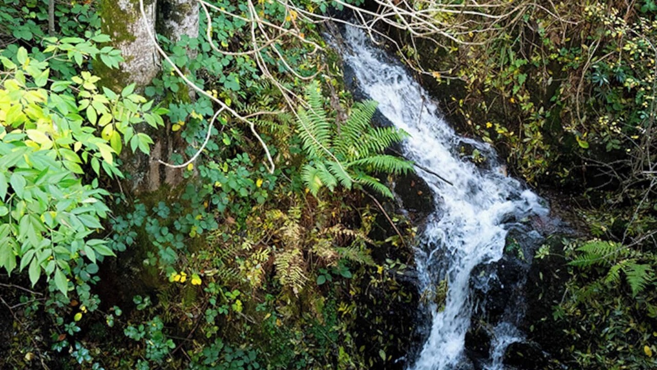 Photo of Others in Ajoux