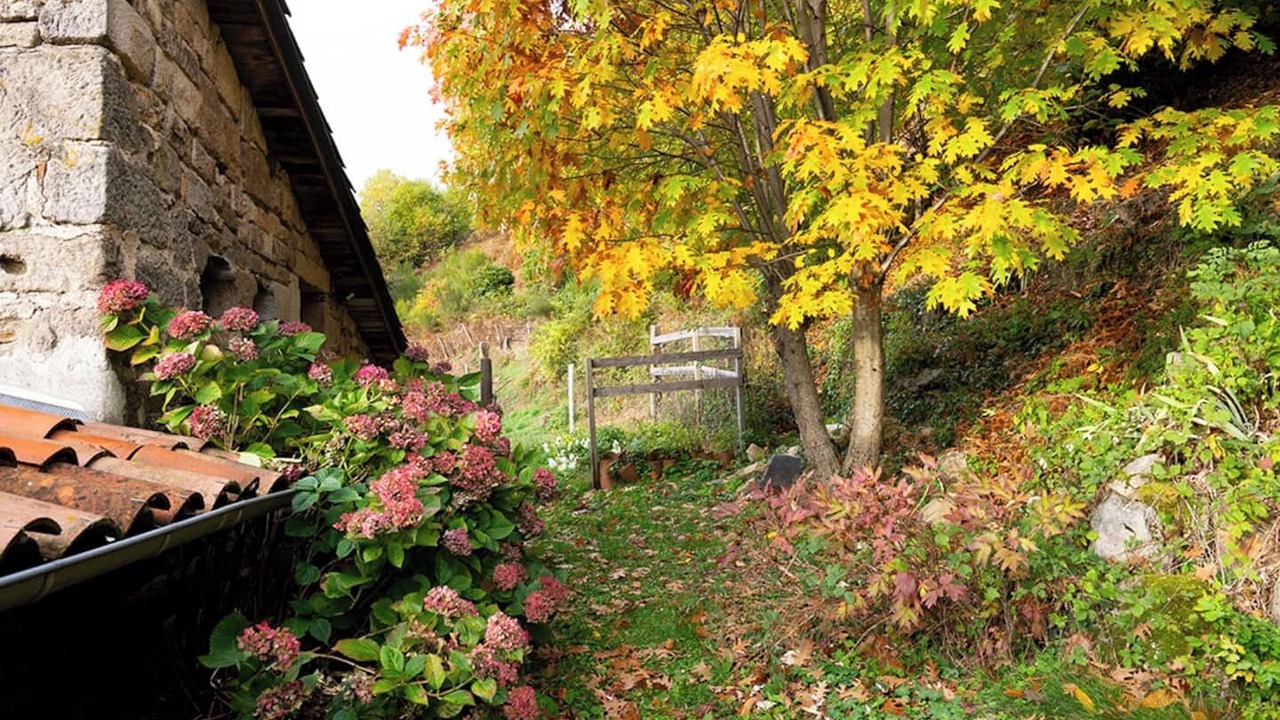 Photo of Outdoor in Ajoux