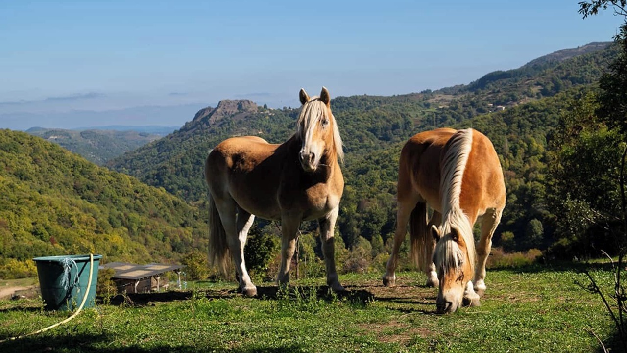 Photo of Others in Ajoux