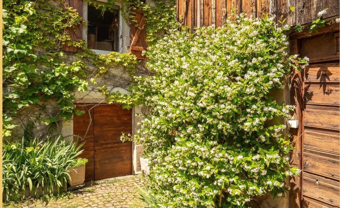 Photo of Outdoor in Corzent
