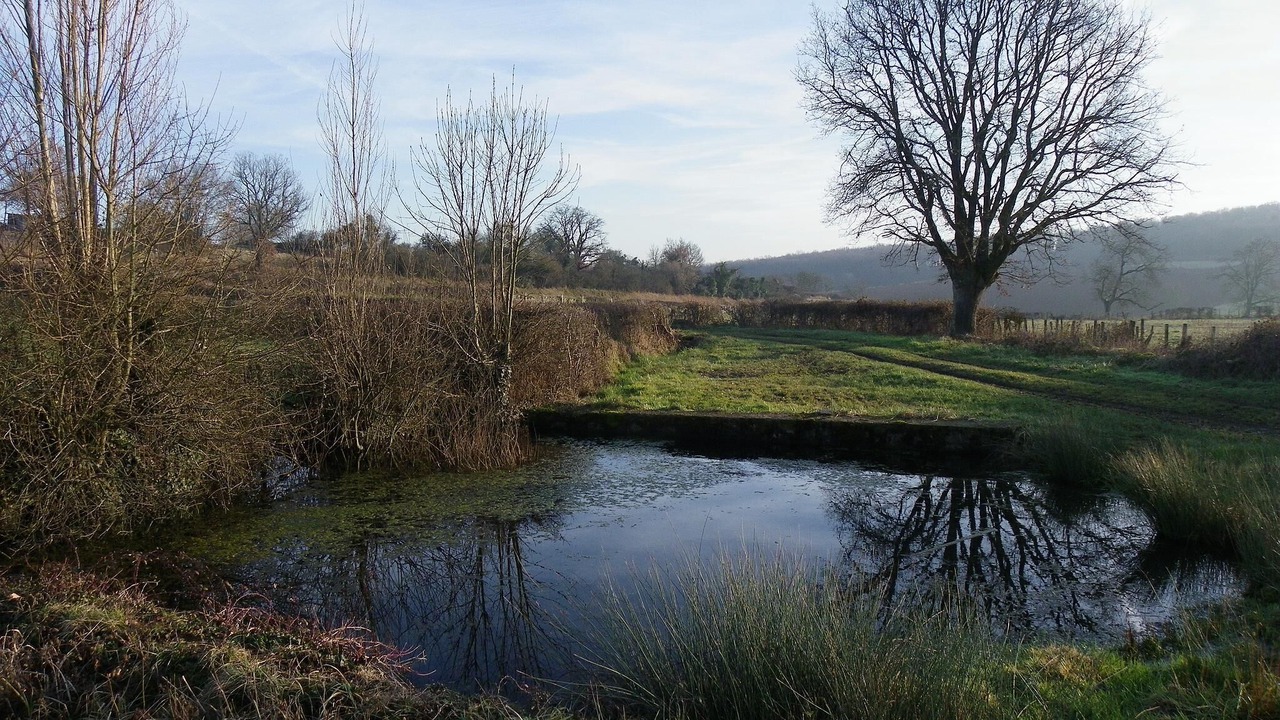 Photo of Others in Saint-Ythaire
