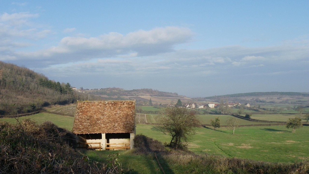 Photo of Others in Saint-Ythaire