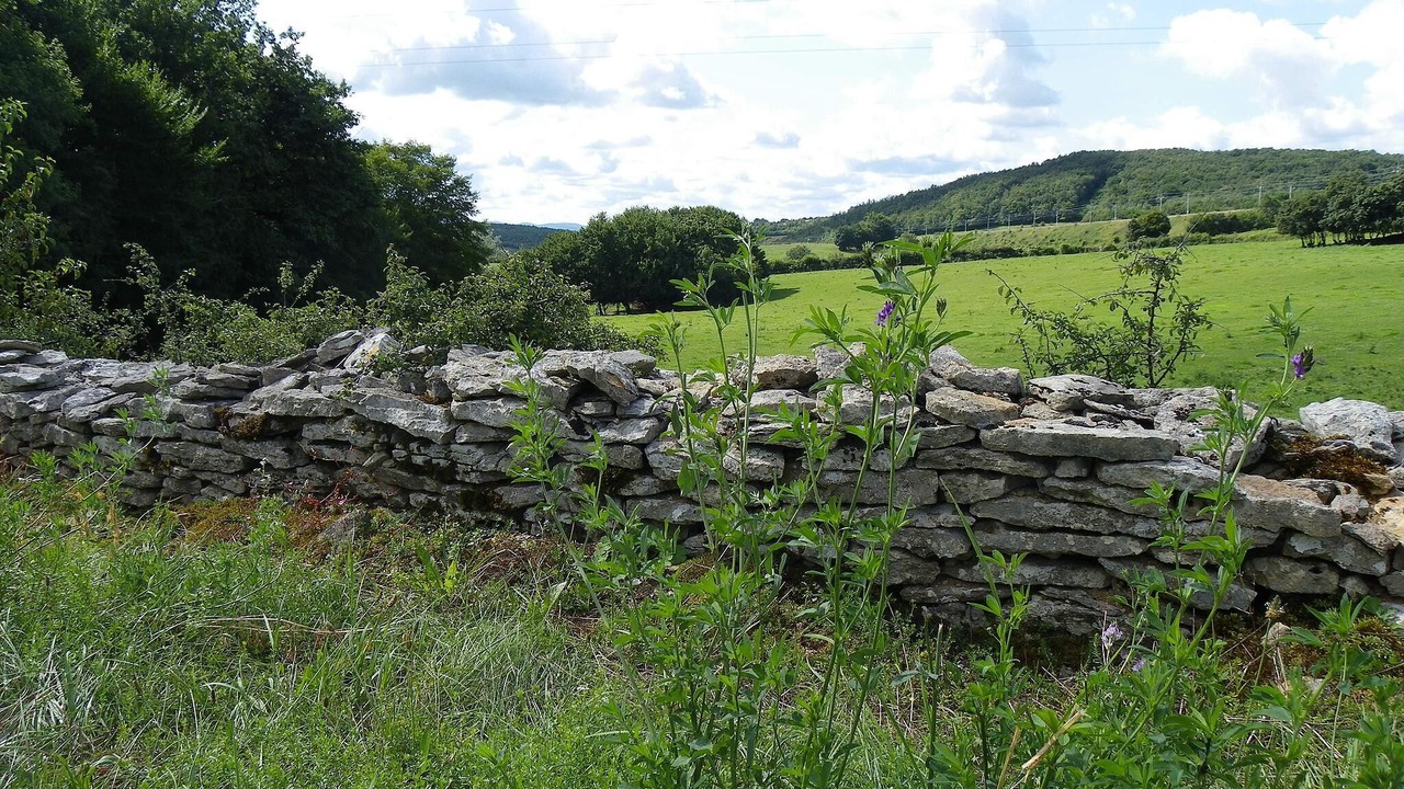 Photo of Outdoor in Saint-Ythaire