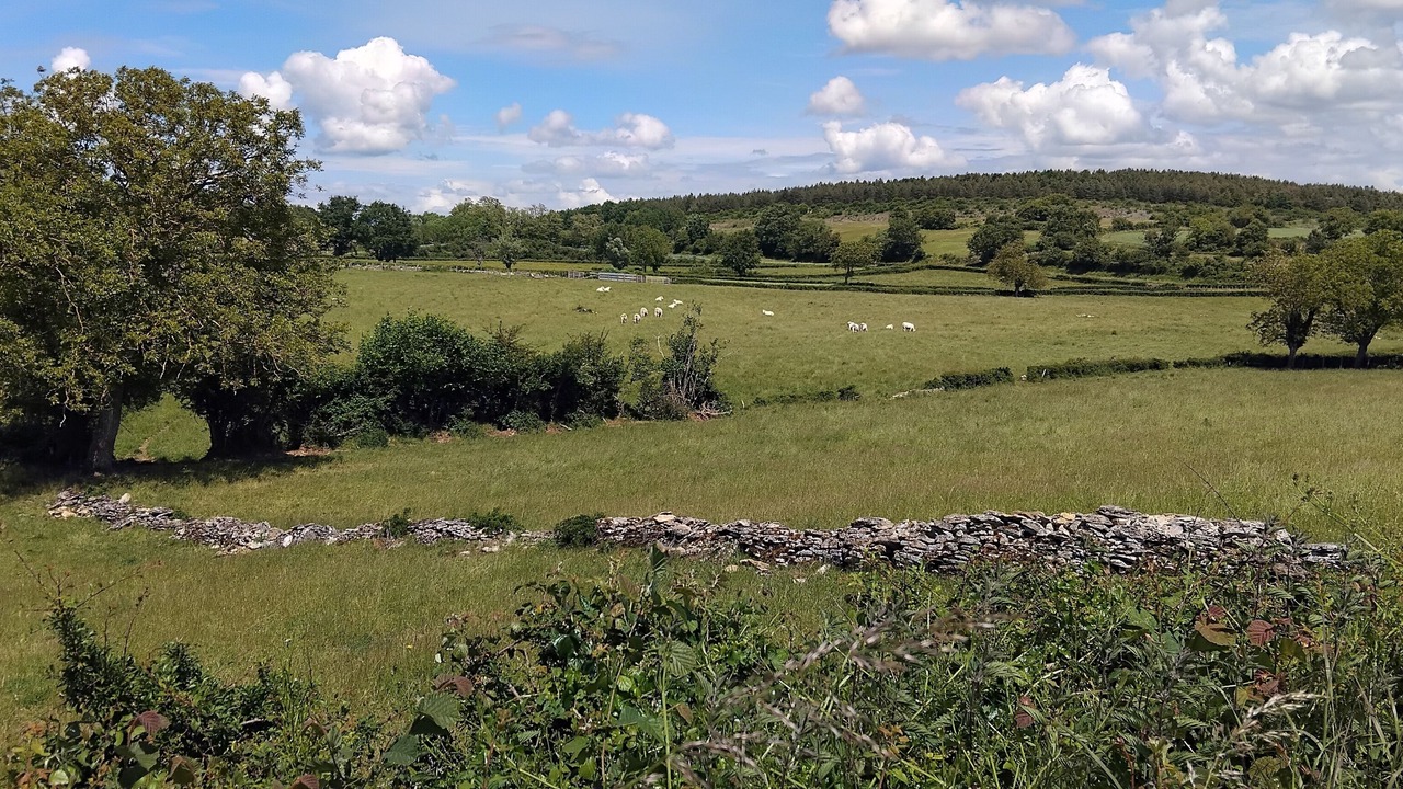 Photo of Others in Saint-Ythaire