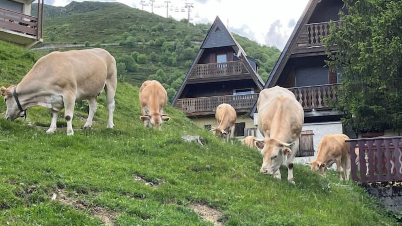 Photo of Outdoor in Saint-Lary-Soulan