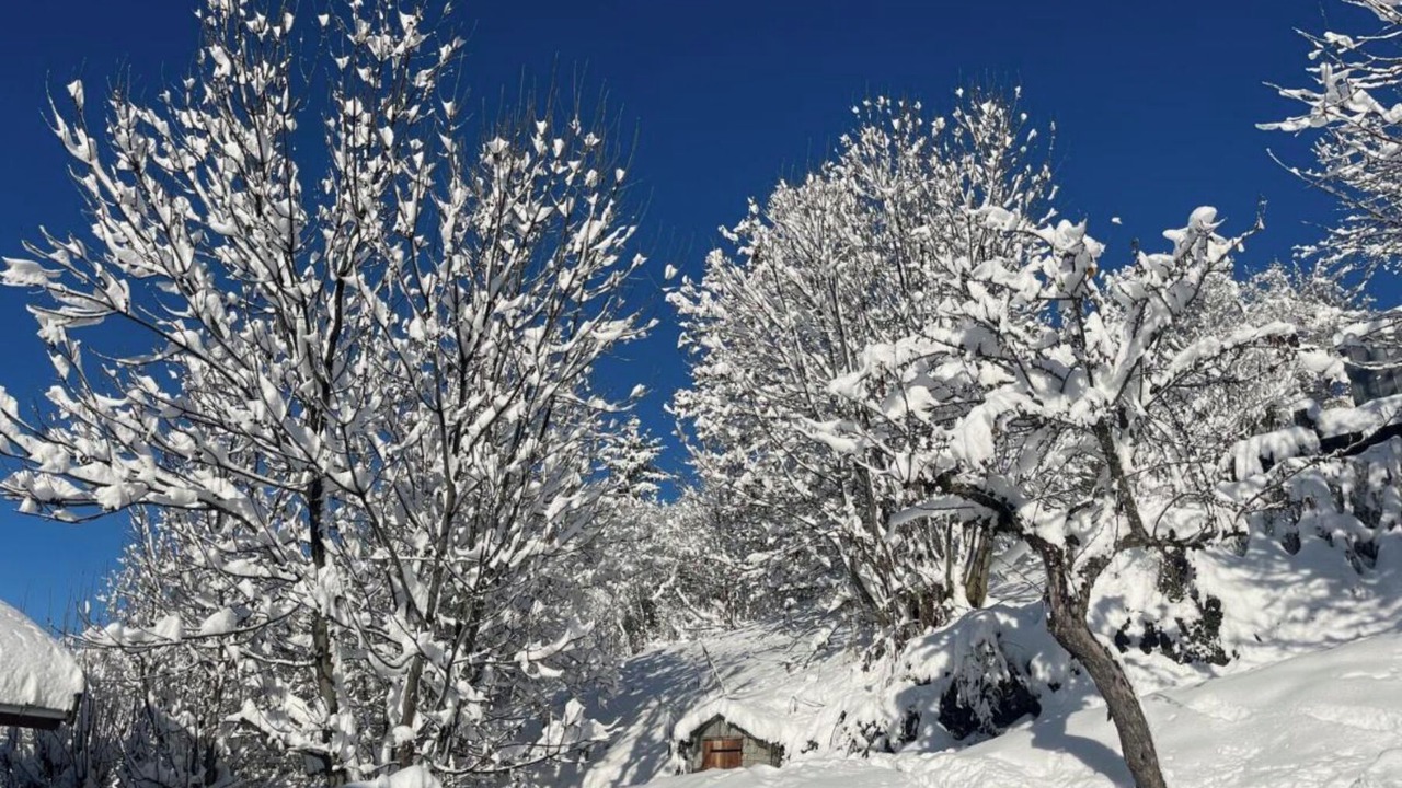 Photo of Outdoor in Navette