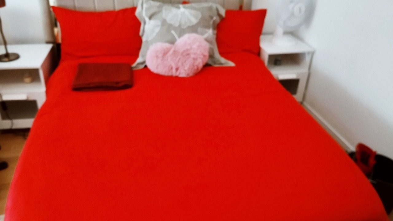 Photo of Bedroom in L'Hay-les-Roses