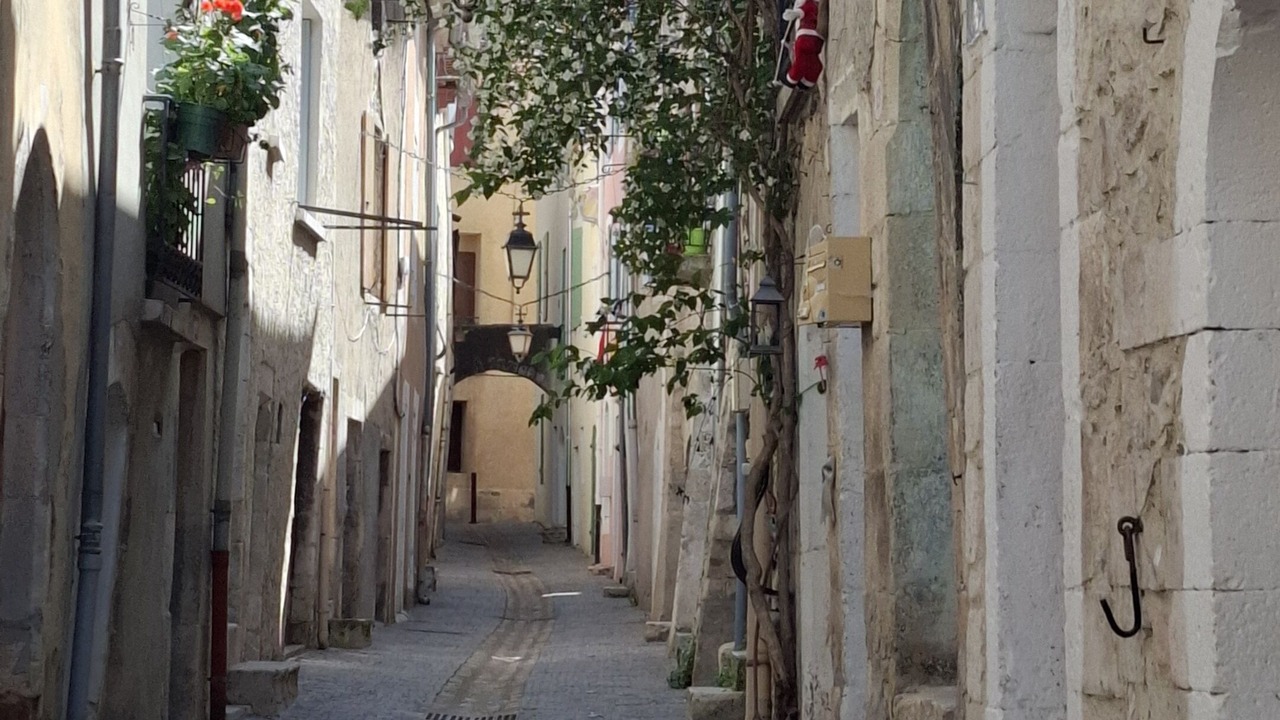 Photo of Others in Viviers