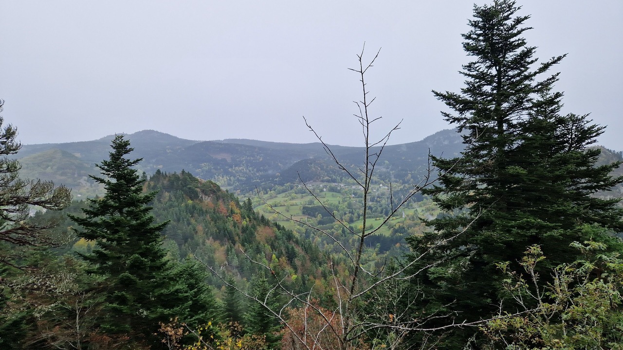 Photo of Others in Queyrieres