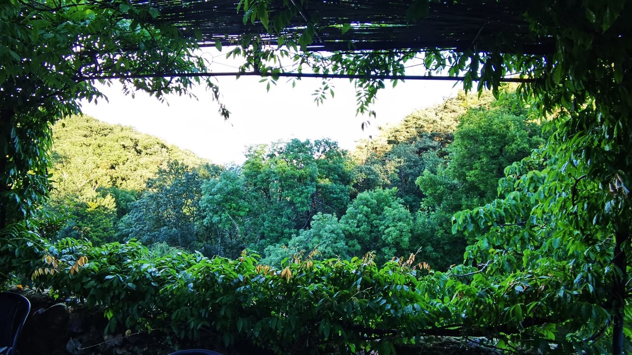 Photo of Outdoor in Saint-Peray