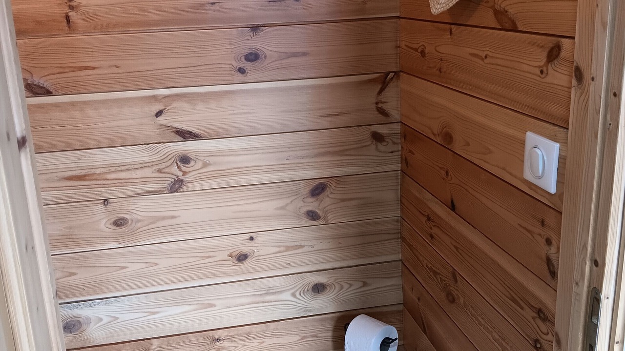 Photo of Bathroom in Digoin
