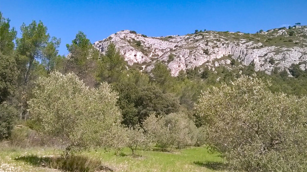 Photo of Others in Taillades