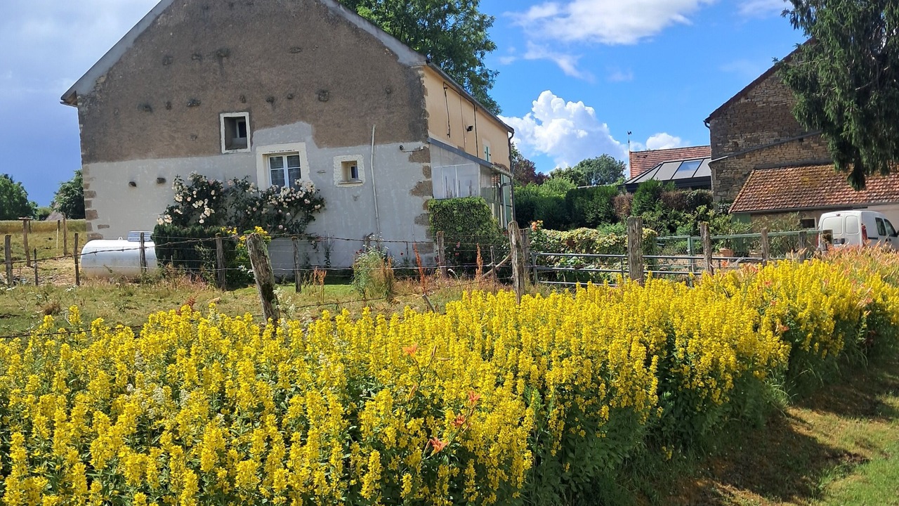 Photo of Outdoor in Saizy