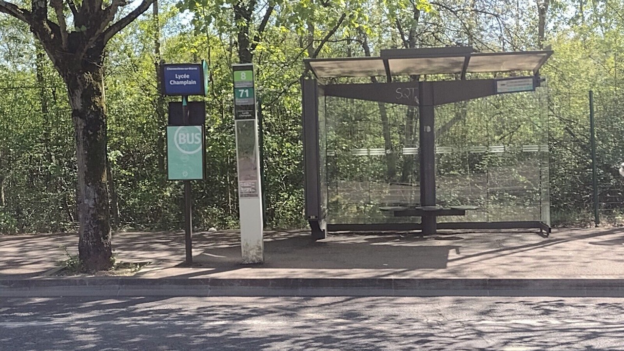 Photo of Others in Le-Plessis-Trevise